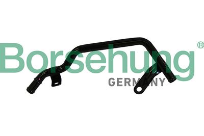 Coolant Pipe Borsehung B19222