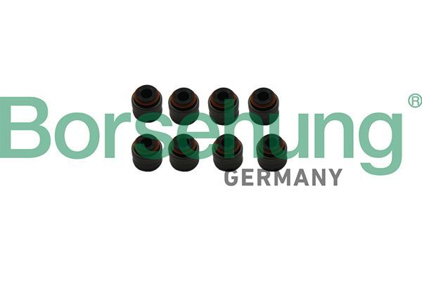 Borsehung B19240 Seal Ring, valve stem
