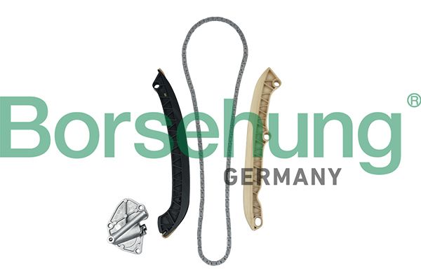 Borsehung B19255 Timing Chain Kit