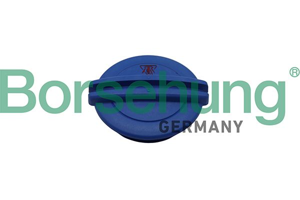 Borsehung B19281 Cap, coolant tank