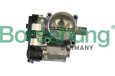 Throttle Body Borsehung B19289