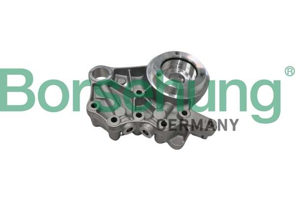 Borsehung B19307 Camshaft Bearing
