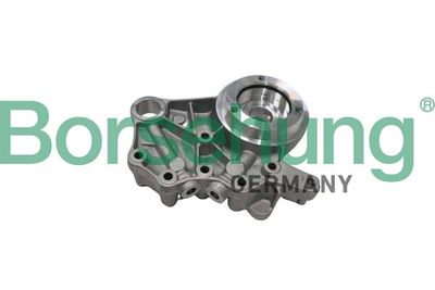 Camshaft Bearing Borsehung B19307