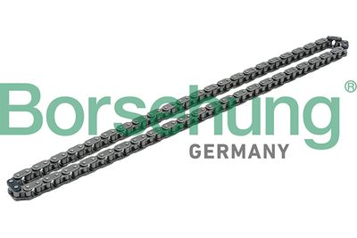 Timing Chain Borsehung B1C009