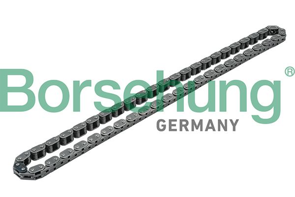 Borsehung B1C011 Timing Chain