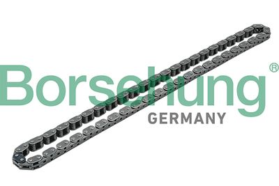 Timing Chain Borsehung B1C011