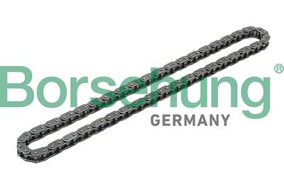 Timing Chain Borsehung B1C012