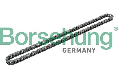 Timing Chain Borsehung B1C017