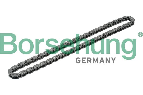 Borsehung B1C020 Timing Chain