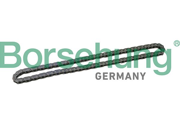 Borsehung B1C021 Timing Chain