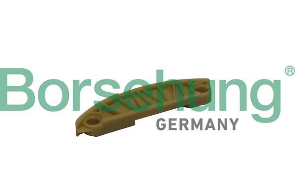 Borsehung B1G010 Guide, timing chain