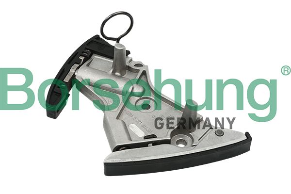 Borsehung B1T018 Tensioner, timing chain