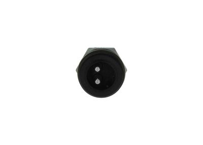 Sensor, intake air temperature BOSCH 0 281 002 012