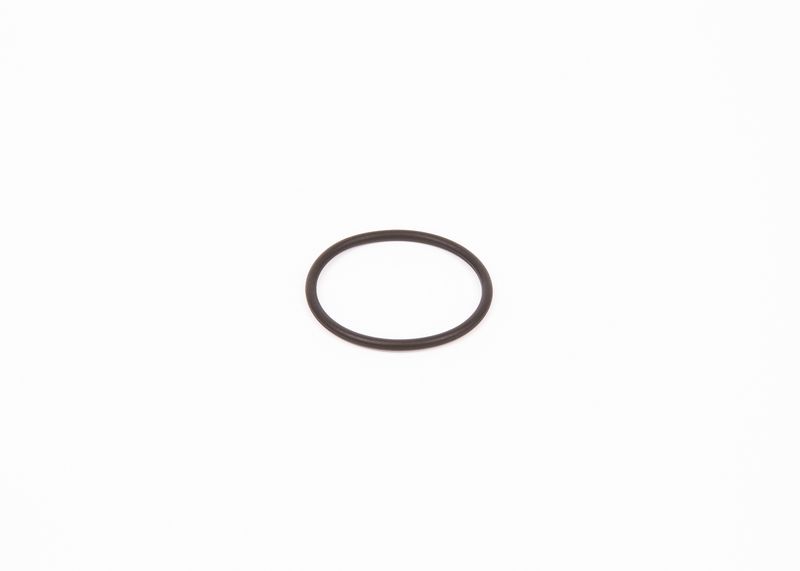 BOSCH F 00R 0P0 166 Rubber Ring