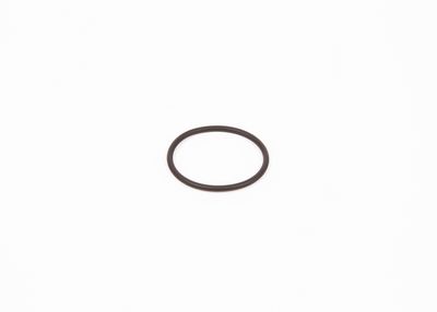Rubber Ring BOSCH F 00R 0P0 166