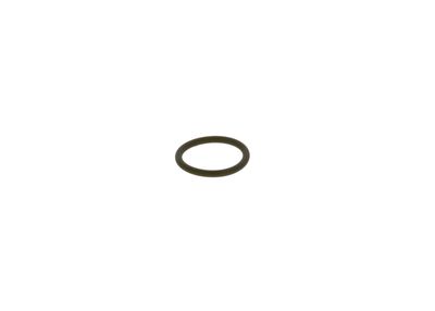 Seal Ring BOSCH F 00R J01 950