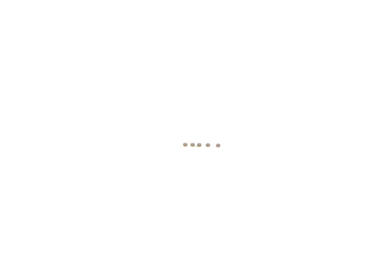 BOSCH F 00Z C99 742 Repair Kit, common rail system
