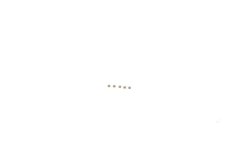 BOSCH F 00Z C99 750 Repair Kit, common rail system