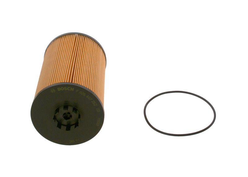 BOSCH F 026 407 252 Oil Filter