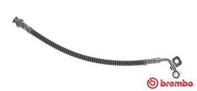Brake Hose BREMBO T 30 071