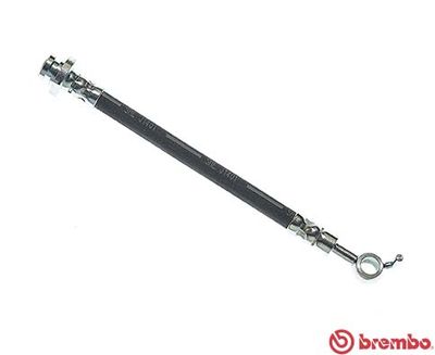 Brake Hose BREMBO T 56 164