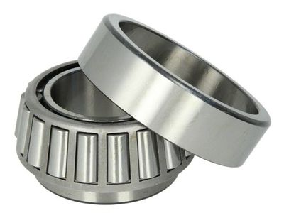 Wheel Bearing BTA B01-528983