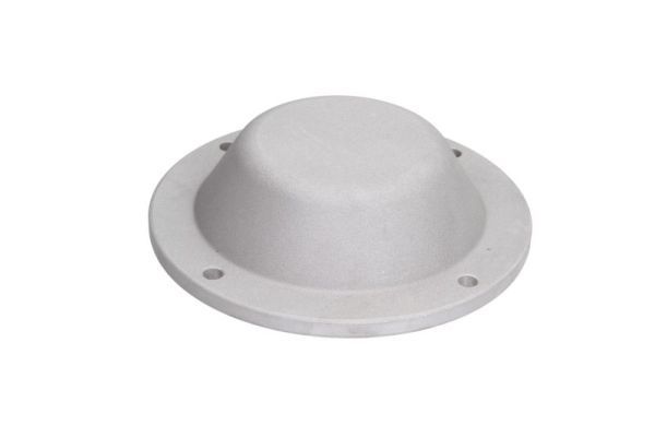 BTA B09-DAF-001 Cover, wheel hub