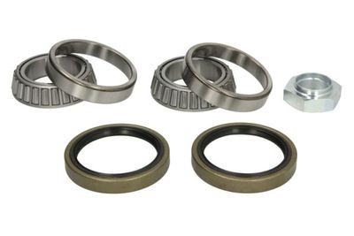 Wheel Bearing Kit BTA H1C010BTA