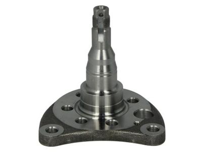 Stub Axle, axle beam BTA H5W007BTA
