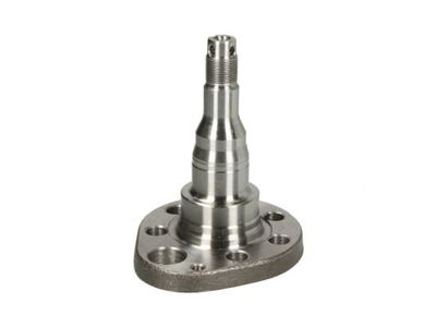 Steering Knuckle, wheel suspension BTA H5W027BTA