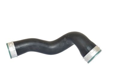 Charge Air Hose BUGIAD 81604