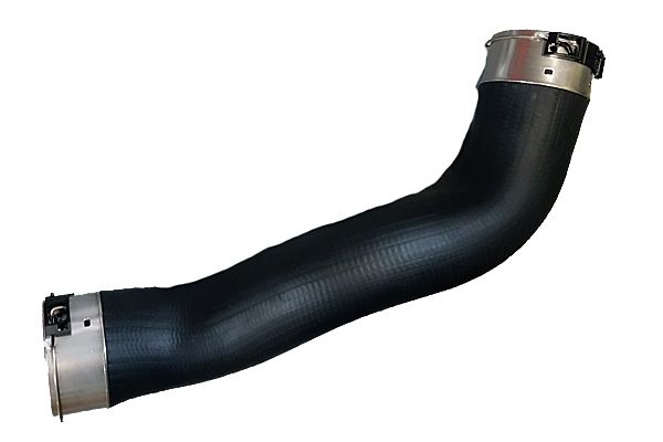 BUGIAD 81699 Charge Air Hose