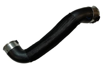 Charge Air Hose BUGIAD 81848