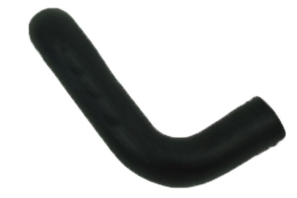 BUGIAD 81977 Charge Air Hose