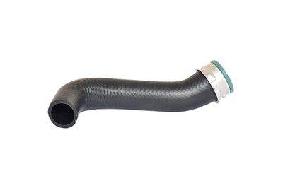 Charge Air Hose BUGIAD 82650
