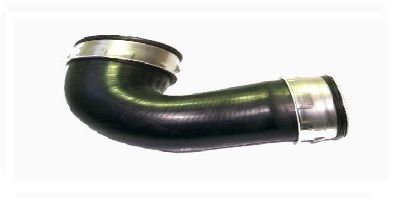 BUGIAD 82674 Charge Air Hose