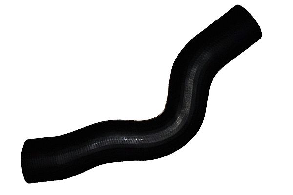 BUGIAD 88629 Charge Air Hose