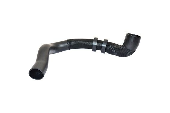 BUGIAD 88807 Charge Air Hose