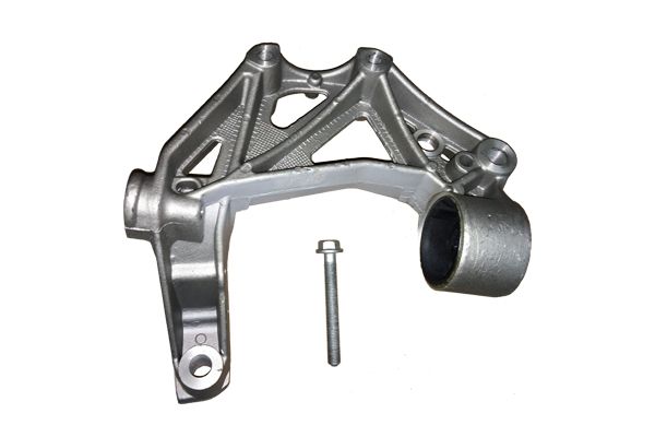 BUGIAD BSP20326PROKIT Holder, control arm mounting