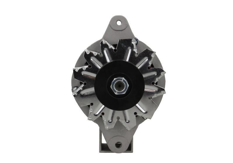 BV PSH 155.006.050.130 Alternator