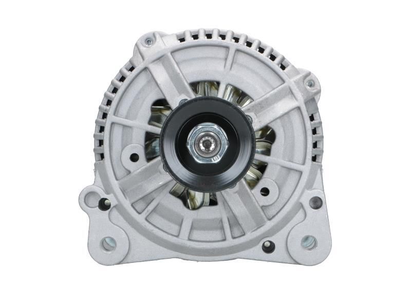 BV PSH 205.508.120.010 Alternator