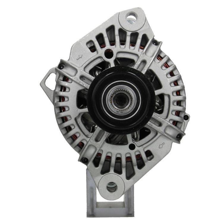 BV PSH 255.513.110.000 Alternator
