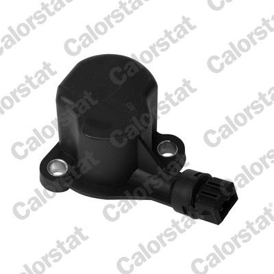 CALORSTAT by Vernet RS5558 Switch, reverse light