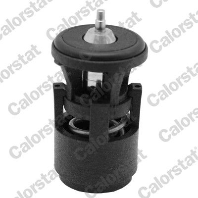 CALORSTAT by Vernet TH6274.80J Thermostat, coolant