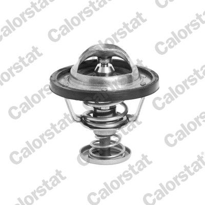 CALORSTAT by Vernet TH6295.88J Thermostat, coolant