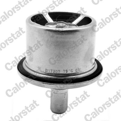 Thermostat, coolant CALORSTAT by Vernet THS19099.75