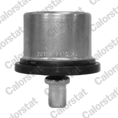 CALORSTAT by Vernet THS19125.91 Thermostat, coolant