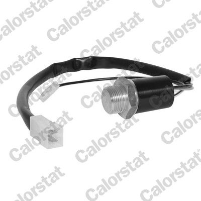 Temperature Switch, radiator fan CALORSTAT by Vernet TS1900