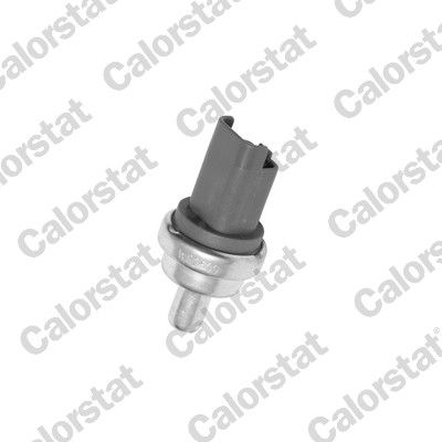 CALORSTAT by Vernet WS2609 Sensor, coolant temperature