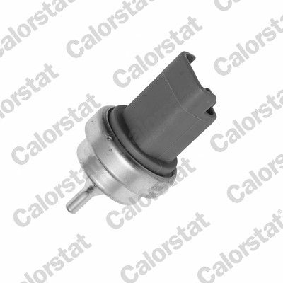 CALORSTAT by Vernet WS3015 Sensor, coolant temperature
